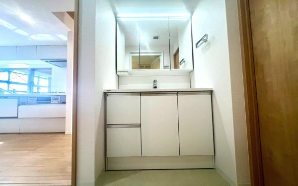 �_�ސ쌧���l�s�ۓy�P�J�捡�䒬�̒��Ã}���V�����̐��ʑ�E���ʏ�