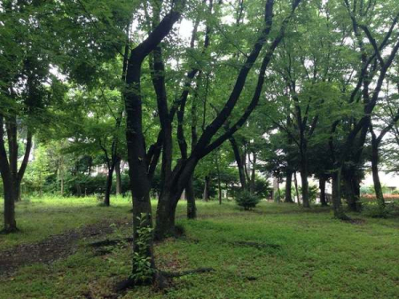 �_�ސ쌧���l�s���捡�h1���ڂ̓y�n�̎��ӊ�