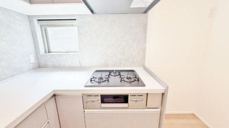 �_�ސ쌧���l�s�ߌ����̋{1���ڂ̐V�z��ˌ��ẴL�b�`��