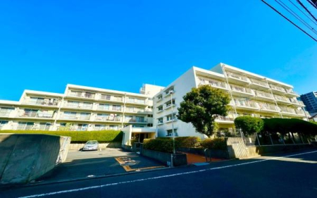 �_�ސ쌧���l�s�˒ˋ�g�c���̒��Ã}���V�����̌��n�O�ώʐ^