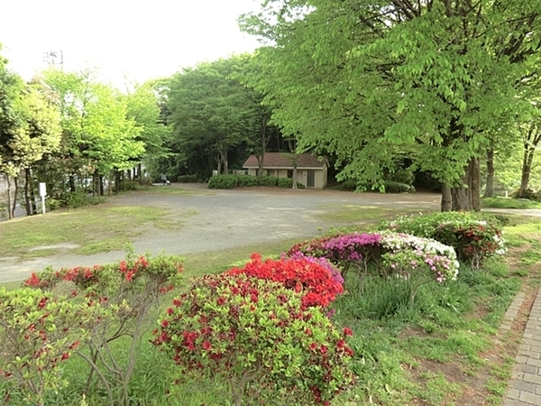 �_�ސ쌧���l�s�s�}��`�c��2���ڂ̒��Ã}���V�����̎��ӊ�