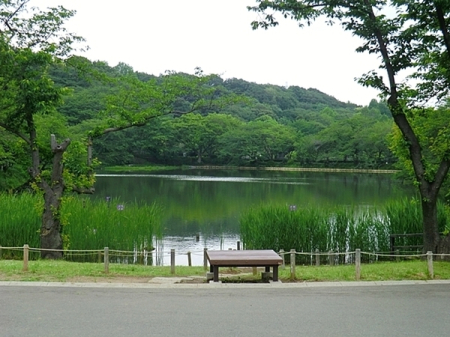 �_�ސ쌧���l�s�ߌ���㖖�g4���ڂ̐V�z��ˌ��Ă̎��ӊ�