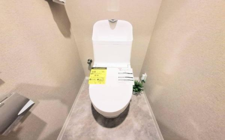 �����s���c�s�����c4���ڂ̒��Ã}���V�����̃g�C��