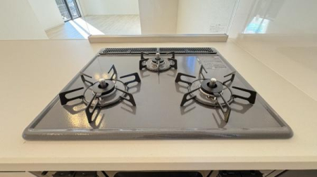 �_�ސ쌧���l�s�s�}�擌�R�c1���ڂ̐V�z��ˌ��ẴL�b�`��