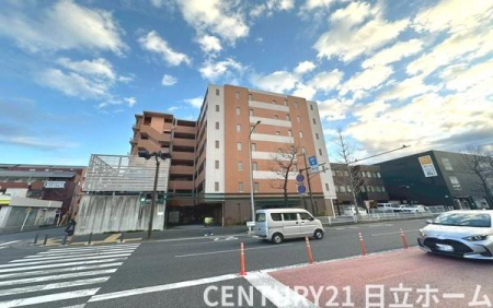 �_�ސ쌧���l�s�`�k��哤�˒��̒��Ã}���V�����̂��̑����n