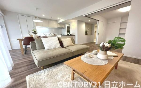 �_�ސ쌧���l�s�`�k��哤�˒��̒��Ã}���V�����̃��r���O