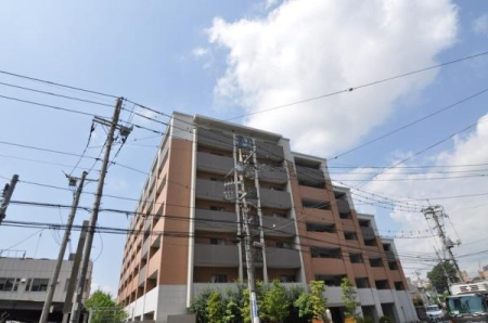 �_�ސ쌧���l�s�s�}�捲�]�˒��̒��Ã}���V�����̉摜