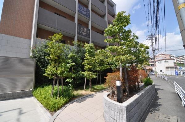 �_�ސ쌧���l�s�s�}�捲�]�˒��̒��Ã}���V�����̉摜