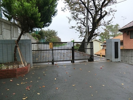 �_�ސ쌧���l�s�s�}�捲�]�˒��̒��Ã}���V�����̎��ӊ�