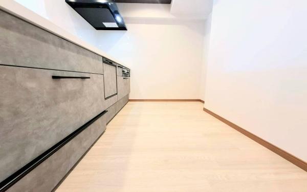 �_�ސ쌧���l�s�����Z�Y2���ڂ̒��Ã}���V�����̃L�b�`��