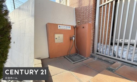 �_�ސ쌧���l�s��q�擌���̒��Ã}���V�����̂��̑����p��