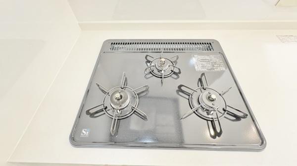 �_�ސ쌧���l�s�΋抛��4���ڂ̐V�z��ˌ��ẴL�b�`��