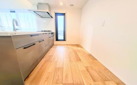 �_�ސ쌧���s�����扤�T����1���ڂ̒��Ã}���V�����̃L�b�`��