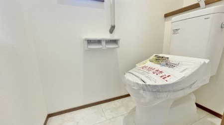 �_�ސ쌧���l�s���J���c�����̐V�z��ˌ��Ẵg�C��