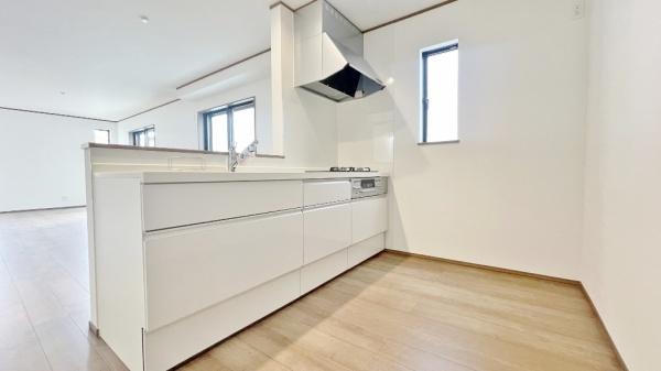 �_�ސ쌧���l�s���J���c�����̐V�z��ˌ��ẴL�b�`��