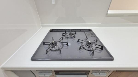 �_�ސ쌧���l�s���捡�h�����̐V�z��ˌ��Ẳ摜