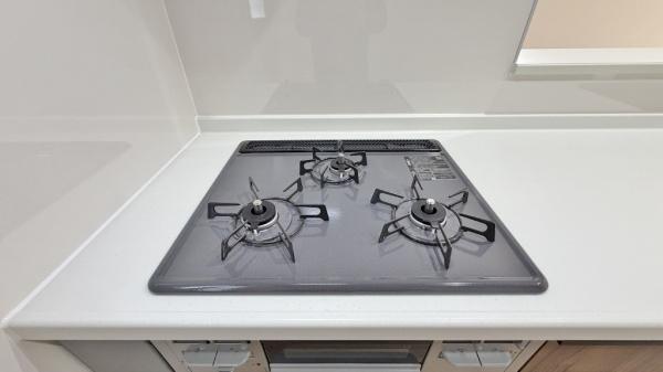 �_�ސ쌧���l�s���捡�h�����̐V�z��ˌ��Ẳ摜