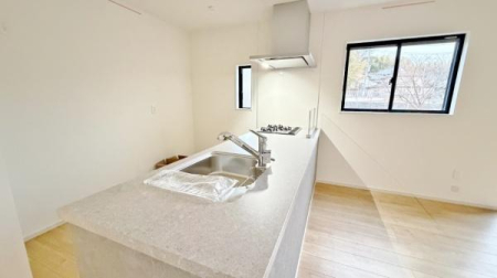 �_�ސ쌧���l�s���V�����̐V�z��ˌ��ẴL�b�`��