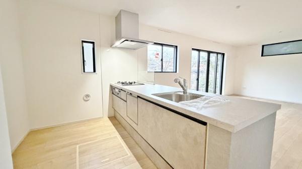 �_�ސ쌧���l�s���V�����̐V�z��ˌ��ẴL�b�`��