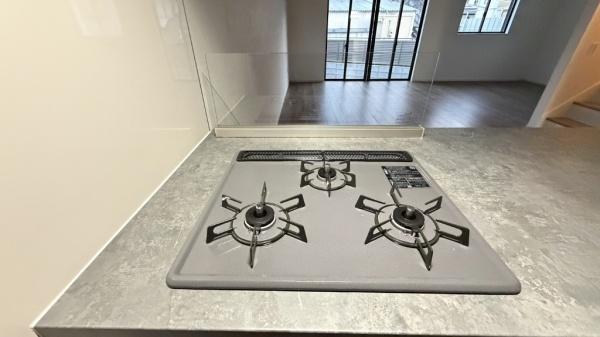 �_�ސ쌧���l�s���V�����̐V�z��ˌ��ẴL�b�`��