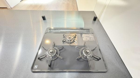 �����s���c�s�{���c�̐V�z��ˌ��ẴL�b�`��