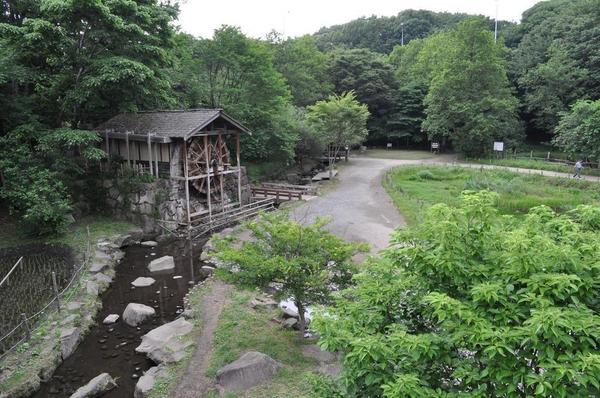 �_�ސ쌧���l�s���J�撆���~2���ڂ̒��È�ˌ��Ă̎��ӊ�