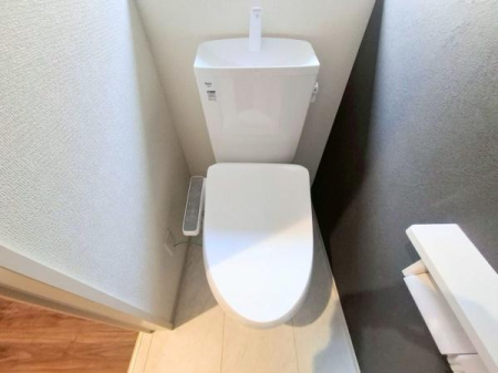 �_�ސ쌧���l�s�ߌ��擌����1���ڂ̐V�z��ˌ��Ẵg�C��