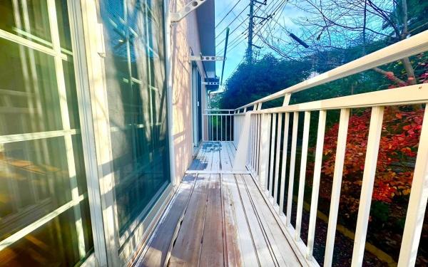 �_�ސ쌧���l�s�t��`�q�c1���ڂ̒��È�ˌ��Ẵo���R�j�[