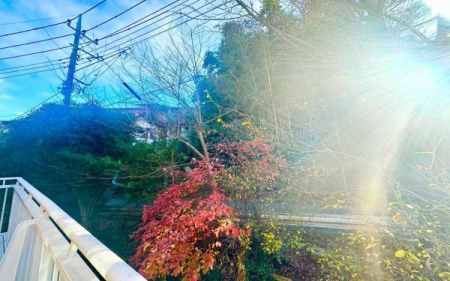 �_�ސ쌧���l�s�t��`�q�c1���ڂ̒��È�ˌ��Ă̏Z�˂���̒��]�ʐ^