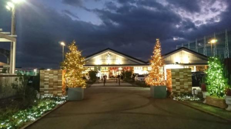 �_�ސ쌧���l�s�t��`�q�c1���ڂ̒��È�ˌ��Ă̎��ӊ�