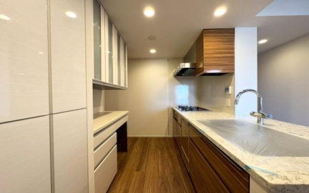 �_�ސ쌧���l�s�t��������u1���ڂ̒��Ã}���V�����̃L�b�`��