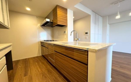 �_�ސ쌧���l�s�t��������u1���ڂ̒��Ã}���V�����̃L�b�`��