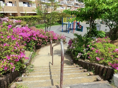 �_�ސ쌧���l�s�ۓy�P�J�拫�ؖ{���̒��Ã}���V�����̎��ӊ�