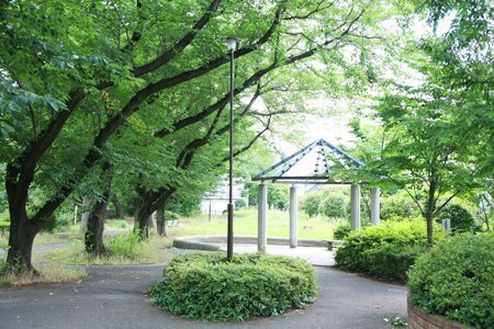 �_�ސ쌧���s�{�O��L�n7���ڂ̒��Ã}���V�����̎��ӊ�