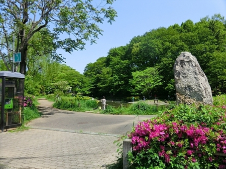 �_�ސ쌧���l�s�t�悽���΂ȑ�1���ڂ̒��Ã}���V�����̎��ӊ�