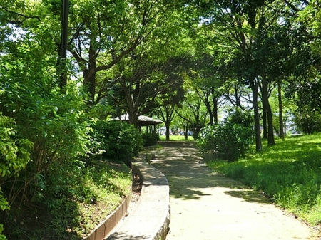�_�ސ쌧���l�s�ۓy�P�J���{���̒��È�ˌ��Ă̎��ӊ�