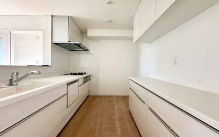 �_�ސ쌧���l�s�`���`��1���ڂ̐V�z��ˌ��ẴL�b�`��