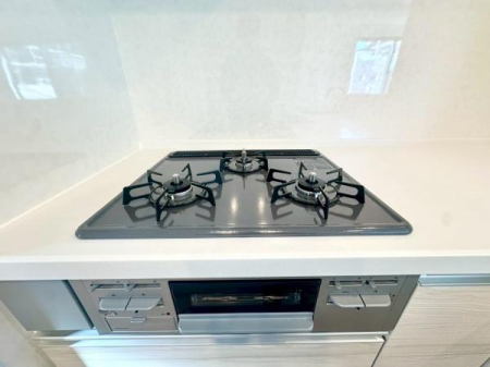 �_�ސ쌧���l�s���搼�˕���2���ڂ̐V�z��ˌ��ẴL�b�`��