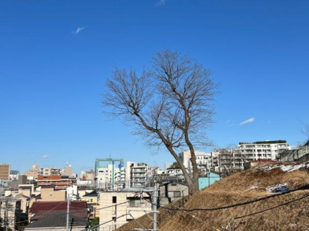 �_�ސ쌧���s���Ë扺�쉄2���ڂ̐V�z��ˌ��Ă̏Z�˂���̒��]�ʐ^