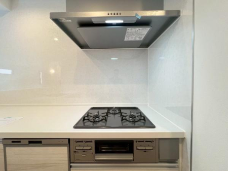 �_�ސ쌧���s���Ë扺�쉄2���ڂ̐V�z��ˌ��ẴL�b�`��