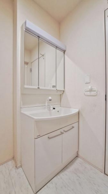 �_�ސ쌧�����S���쒬�q���̒��È�ˌ��Ă̐��ʑ�E���ʏ�