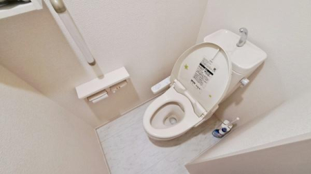 �_�ސ쌧�����S���쒬�q���̒��È�ˌ��Ẵg�C��