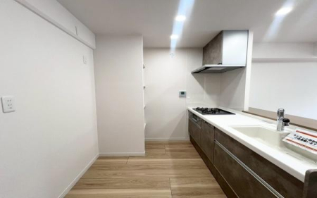 �_�ސ쌧���l�s�ۓy�P�J���䒬�̒��Ã}���V�����̃L�b�`��