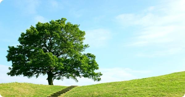 �_�ސ쌧���l�s�ۓy�P�J���䒬�̒��Ã}���V�����̎��ӊ�