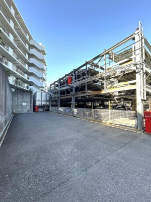 �_�ސ쌧���l�s�t��`�c���̒��Ã}���V�����̉摜