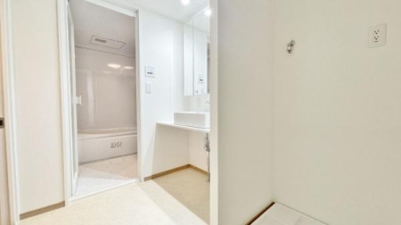 �_�ސ쌧���l�s�ۓy�P�J�拫�ؖ{���̒��Ã}���V�����̐��ʑ�E���ʏ�