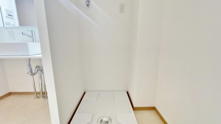 �_�ސ쌧���l�s�ۓy�P�J�拫�ؖ{���̒��Ã}���V�����̗���