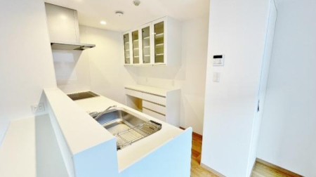 �_�ސ쌧���l�s�ۓy�P�J�拫�ؖ{���̒��Ã}���V�����̃L�b�`��