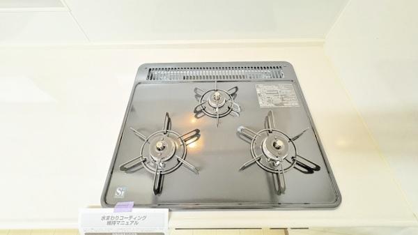 �_�ސ쌧���l�s��q��ꓪ2���ڂ̒��È�ˌ��ẴL�b�`��