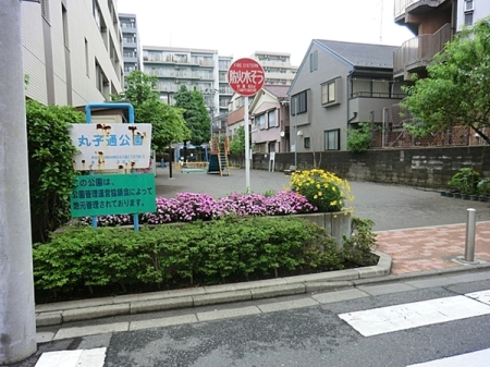 �_�ސ쌧���s�������ێq�V�_���̒��Ã}���V�����̎��ӊ�